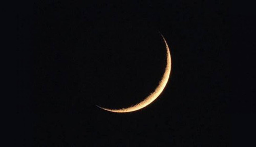 d9272151b84f.jpg
