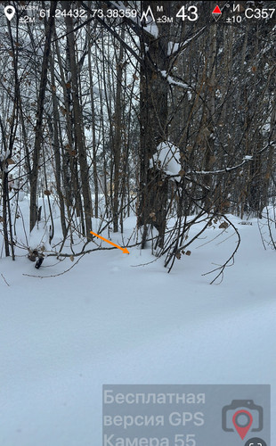 IMG 8832.jpg