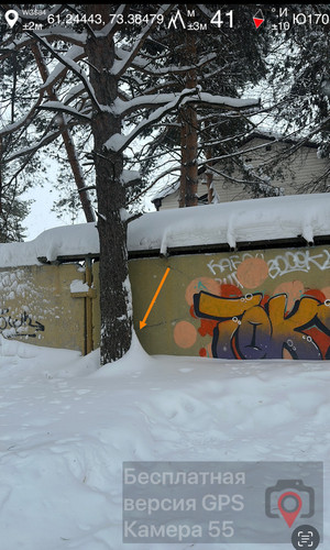 IMG 8831.jpg