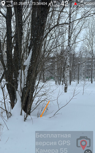 IMG 8829.jpg