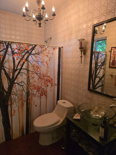 Baño PB Lazaro Cardenas 300 Norte.jpg