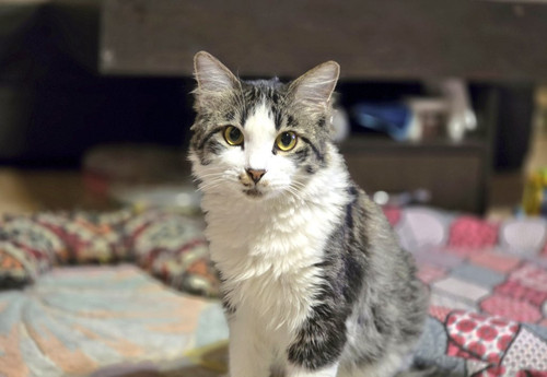 HBG tJ1akAUfhf2?format=jpg.jpg