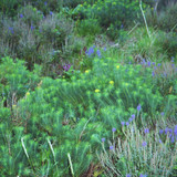 254710614 1088296962001082 3496889739966741484 n