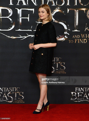Alison Sudol.jpg