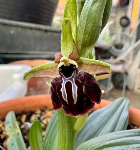 HMWtRBJcr5HqY99ljeDJzdo36 z9EnXeHqiJM8xivRqsmsbdSOj1490IUbGqLV4kva 4ty prjchOYjZ7aUlZPTJdQ6R9uSMoweS.jpg