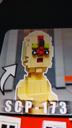 temp 1771951444404.jpg