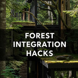 Vertical Pintereststyle image of container home with forest integration Centered overlay text reads 