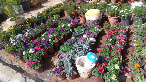 Snapchat 1717200772.jpg