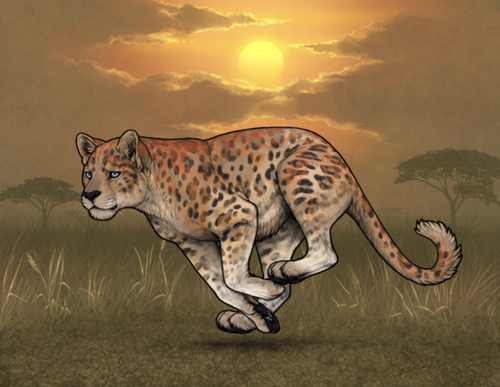 Screenshot 2026 02 23 at 2.37.45 PM.png