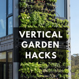 Vertical Pintereststyle image of container home with vertical garden wall Centered overlay text read