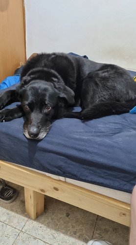 476106851 9145771842204821 3759416951284523490 n.jpg