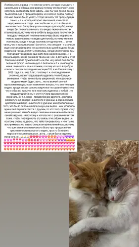 IMG 20260223 225617 736.webp