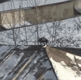 daily gifdump 3454 16.gif