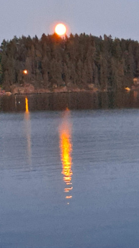 d5c167dd 2bc5 4a74 9566 352a87b386c6 1 all 58.jpg