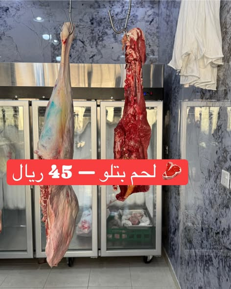 641164912 957246423500129 7820543460897126675 n.jpg?stp=dst jpg s590x590 tt6& nc cat=106&ccb=1 7& nc.jpg