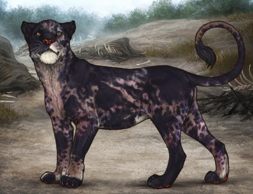 Screenshot 2026 02 23 at 2.28.41 PM.png