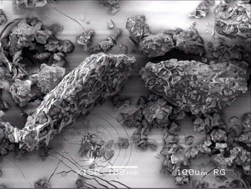 Screenshot 2026 02 23 at 15.37.53.jpg