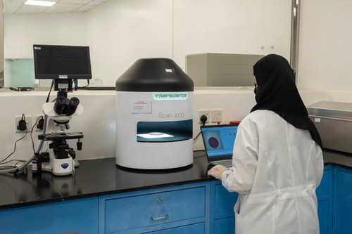 638780384 924813090197671 5407981897064165150 n.jpg?stp=dst jpg s590x590 tt6& nc cat=107&ccb=1 7& nc.jpg