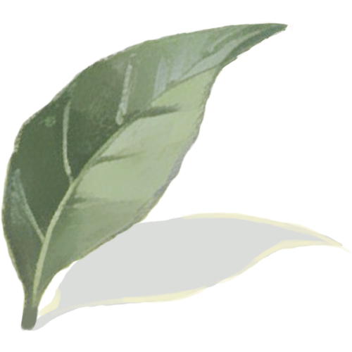 fbQ1lnt.png