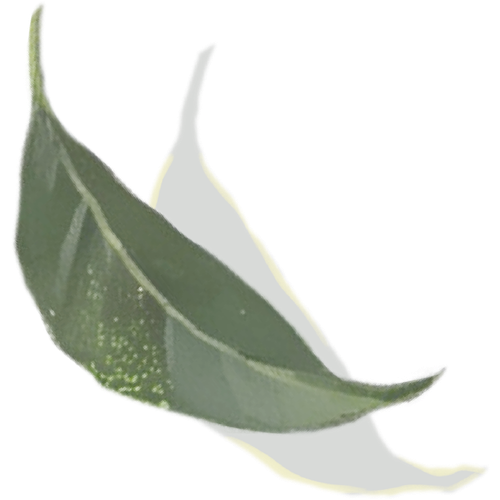 fbQ1atI.png