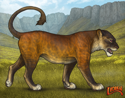 lioden wardrobe 2026 02 24T105921.987.png