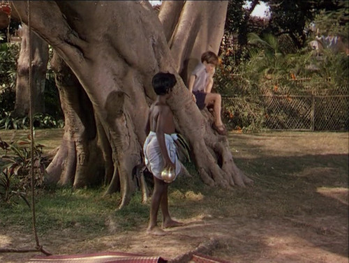 vlcsnap 2026 02 23 20h10m00s518