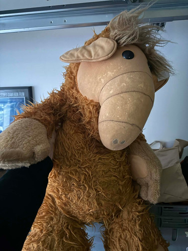 58b4ad22 7f7e 447c 8f34 79ca64cfb852.jpg