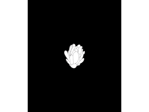 axeanarchy flower 3342 512.gif