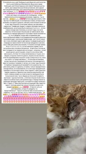 IMG 20260223 234152 233.webp