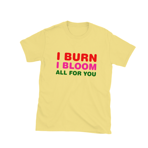 Cornsilk Photoroom.png