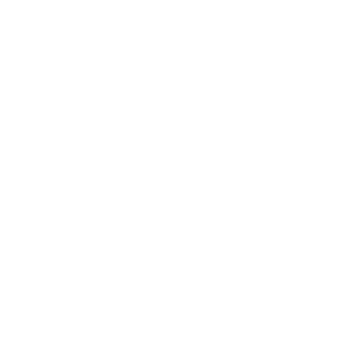 Multi Talented Services (Transperent).png