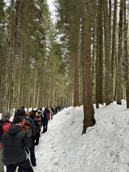 641573588 1522149783246408 805866487625883969 n.jpg?stp=cp6 dst jpg s590x590 tt6& nc cat=109&ccb=1 7.jpg