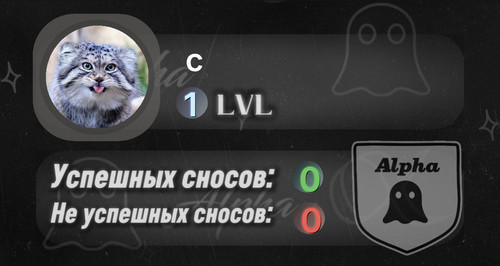 profile 8527961556 1771877313.jpg