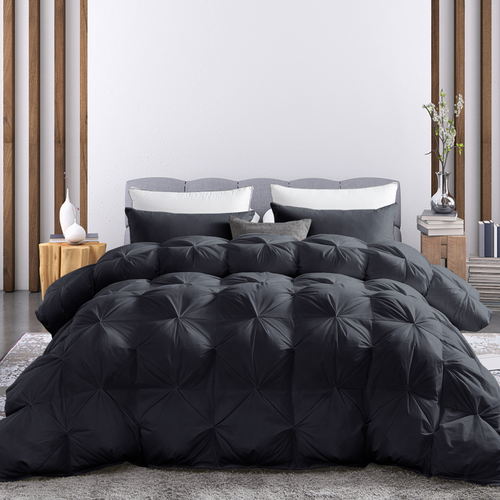 Black PP Image 1 2000.png