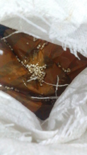 WhatsApp Image 2026 02 23 at 22.12.02.jpg