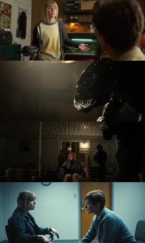 InCollage 20260224 185603571.jpg