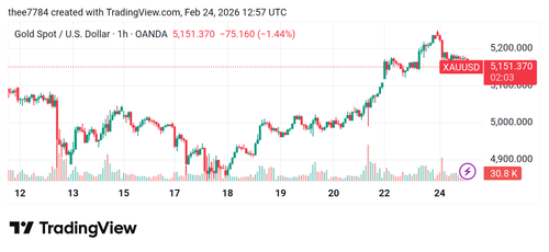 XAUUSD 2026 02 24 18 27 57.png