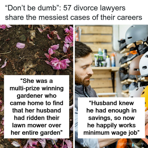 craziest divorce cases.jpg