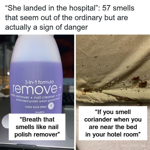 immediate danger smells.jpg