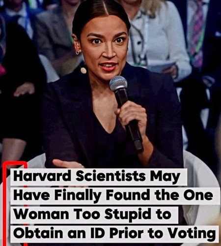 too stupid.jpg