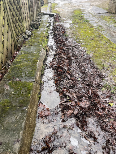 road.jpg