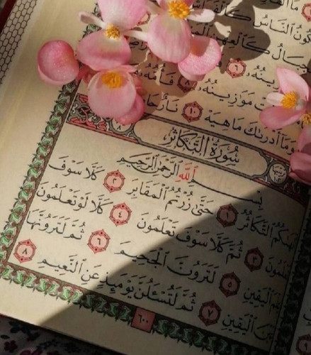 Screenshot 20260223 183315 Chrome.jpg