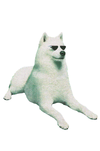 white dog in triangle sunglasses.png