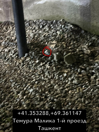 8B7E7124 5E37 4A64 AB94 29B6523C84F6.jpg