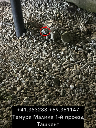 9729AAC8 E4F3 4661 84DB 180A808C03DC.jpg