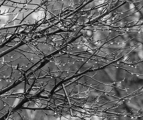 641428789 26570520952556136 5653644016140419648 n.jpg