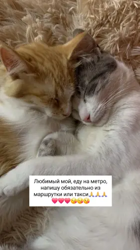 IMG 20260223 210000 743.webp