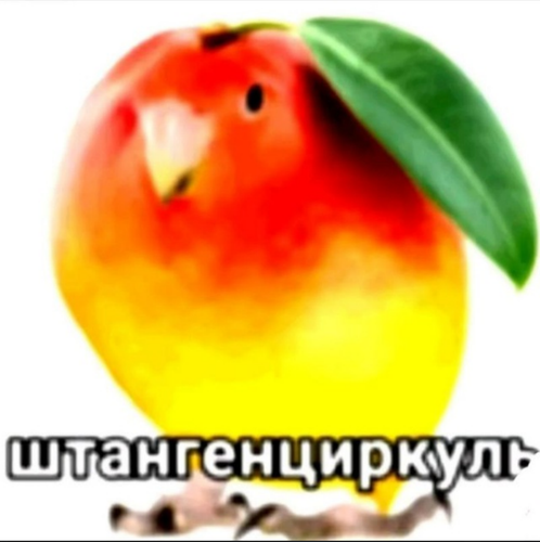 изображение 2026 02 23 220741053.png