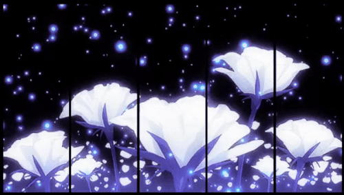 dhzm0wg 4ee41d80 3fdc 4e63 ad88 7bcff06ffc1e.gif