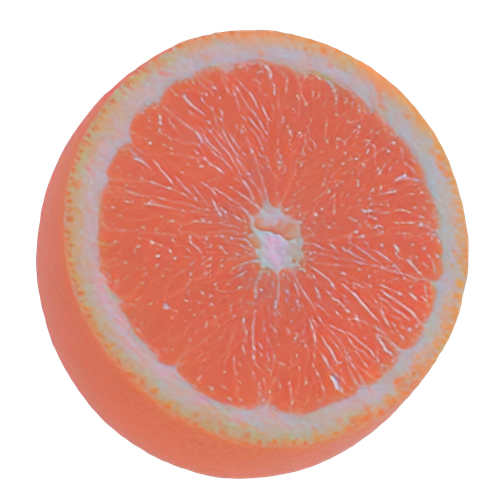 slice of citrus.png